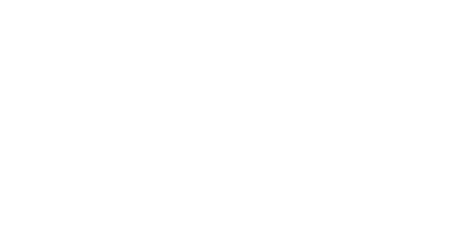Rosas Preservadas eternas
