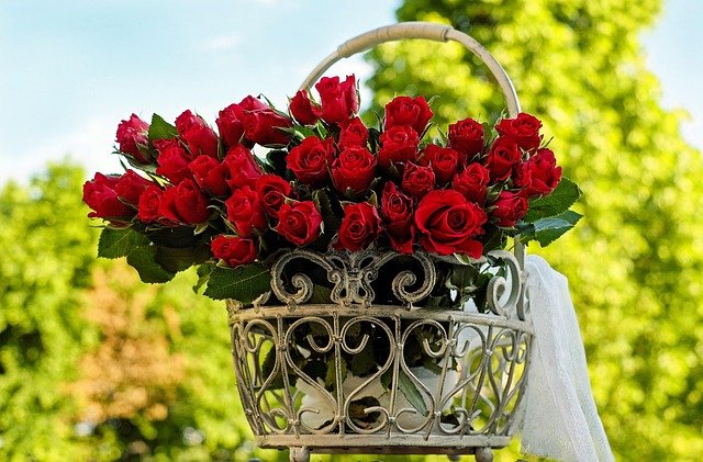 ramo de rosas rojas
