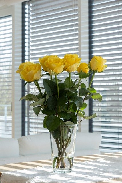 rosas amarillas