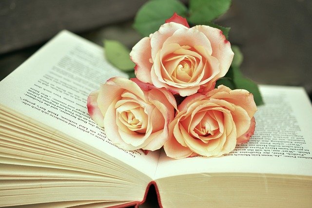 rosas con libro