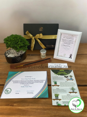 Bono siembra un árbol + Certificado