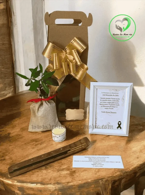 Kit Regala un árbol