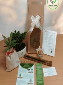 Kit Regala un Árbol + Bonsái
