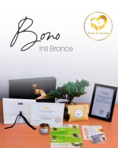 Bono Bronce, Fundación Inti