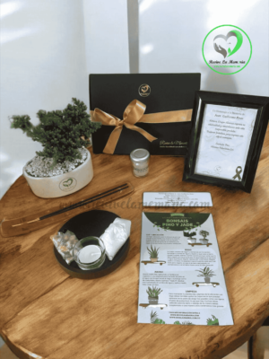 Kit Jardín de Zen