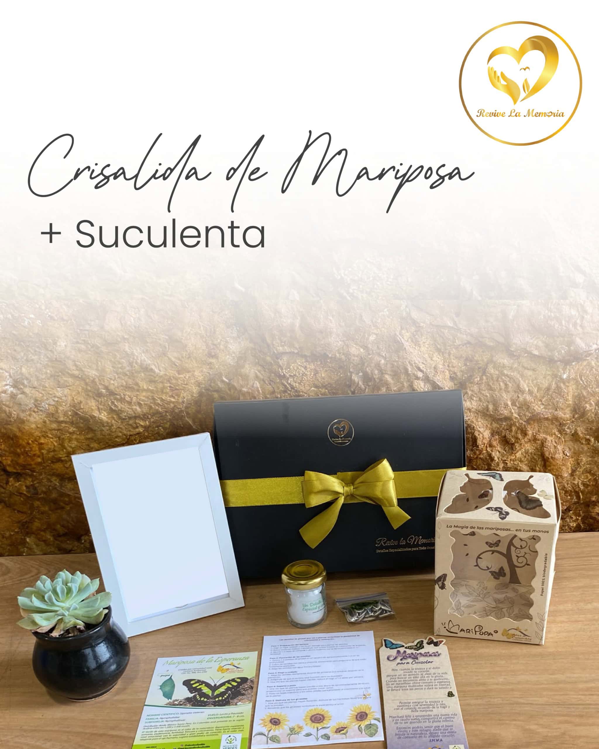 Regala una Mariposa y una suculenta o bonsái - Imagen 3