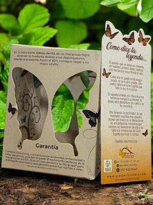 Regala una Mariposa de Condolencias y Envia un Homenaje Vivo