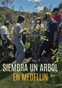 Siembra un árbol En Medellín