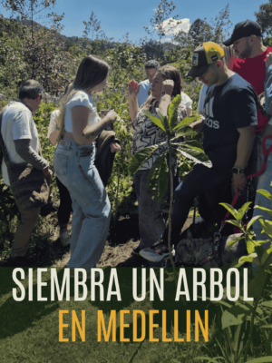 Siembra un árbol En Medellín